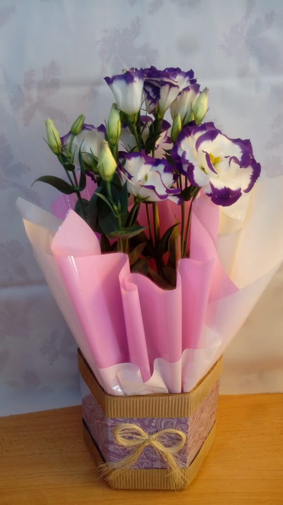 Vasos disponíveis no Recanto das Flores — opção 3